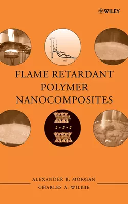 Flame Retardant Polymer Nanocomposites, Charles Wilkie