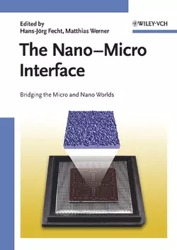 The Nano-Micro Interface, Matthias Werner