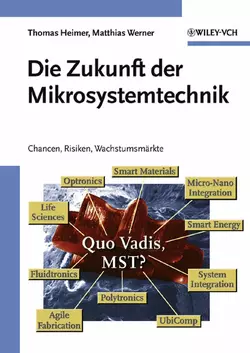 Die Zukunft der Mikrosystemtechnik, Matthias Werner