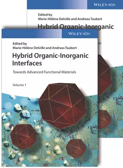 Hybrid Organic-Inorganic Interfaces, Andreas Taubert