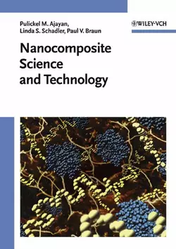 Nanocomposite Science and Technology, Linda Schadler