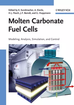 Molten Carbonate Fuel Cells, Kai Sundmacher