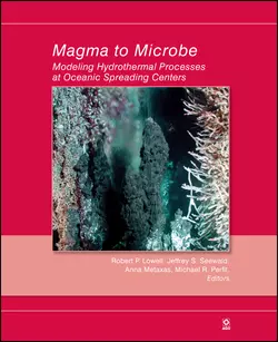 Magma to Microbe Anna Metaxas и Jeffrey Seewald