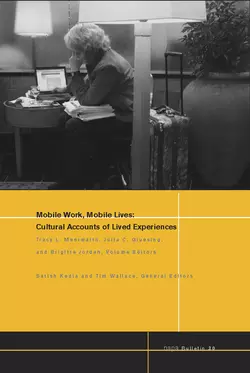 Mobile Work, Mobile Lives, Satish Kedia