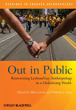 Out in Public, Ellen Lewin