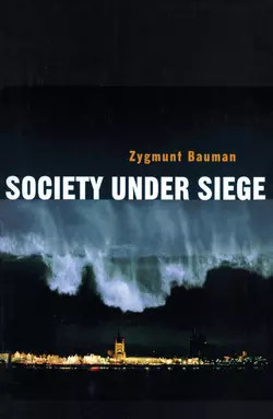 Society under Siege, Zygmunt Bauman