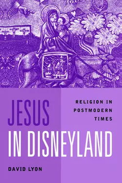 Jesus in Disneyland, David Lyon