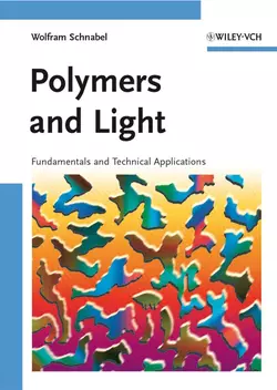 Polymers and Light, Wolfram Schnabel