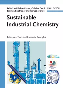 Sustainable Industrial Chemistry, Gabriele Centi