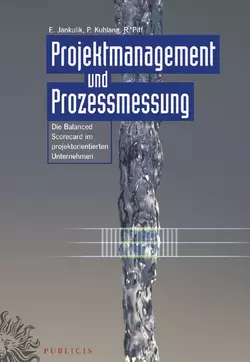 Projektmanagement und Prozessmessung, Roland Piff