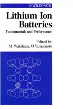 Lithium Ion Batteries, Masataka Wakihara