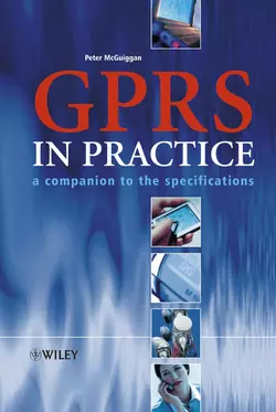 GPRS in Practice, Peter McGuiggan