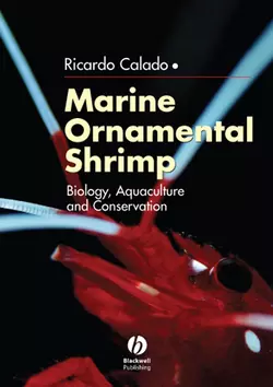 Marine Ornamental Shrimp, Ricardo Calado