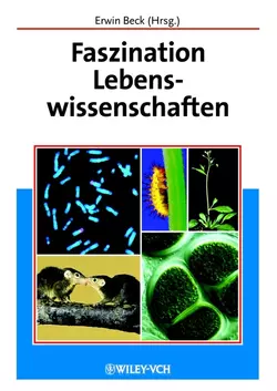 Faszination Lebenswissenschaften, Erwin Beck