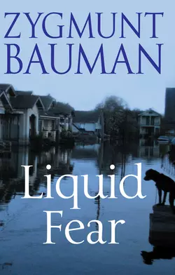 Liquid Fear, Zygmunt Bauman