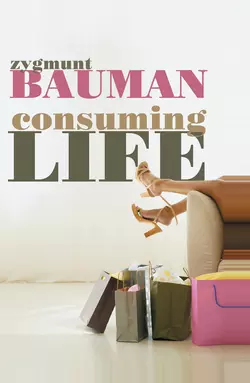 Consuming Life Zygmunt Bauman