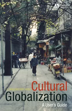 Cultural Globalization, J. Wise