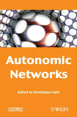 Autonomic Networks, Dominique Gaiti