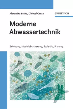 Moderne Abwassertechnik, Alexandru Braha