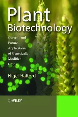 Plant Biotechnology, Nigel Halford