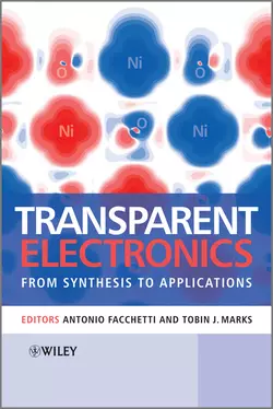 Transparent Electronics, Antonio Facchetti