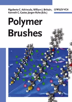 Polymer Brushes, Kenneth Caster