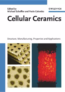 Cellular Ceramics, Paolo Colombo