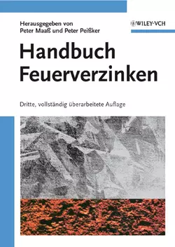 Handbuch Feuerverzinken, Peter Maas