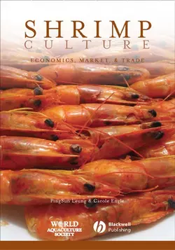 Shrimp Culture, PingSun Leung