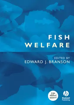 Fish Welfare Edward Branson