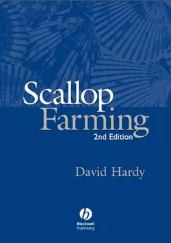 Scallop Farming David Hardy