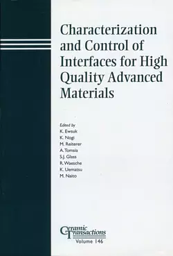 Characterization and Control of Interfaces for High Quality Advanced Materials Kiyoshi Nogi и Makio Naito