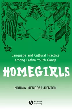 Homegirls, Norma Mendoza-Denton