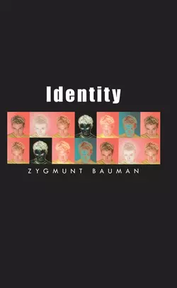 Identity Zygmunt Bauman