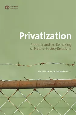 Privatization, Becky Mansfield