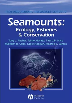 Seamounts, Telmo Morato