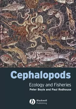 Cephalopods, Peter Boyle