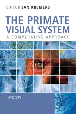 The Primate Visual System Jan Kremers