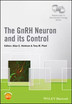 The GnRH Neuron and its Control Allan Herbison и Tony Plant