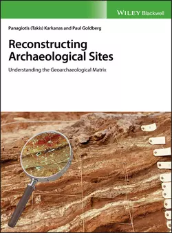 Reconstructing Archaeological Sites, Paul Goldberg