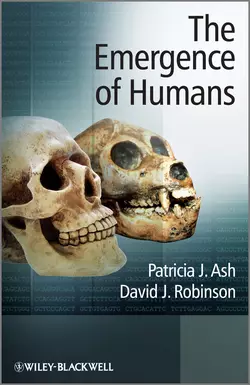 The Emergence of Humans, David Robinson