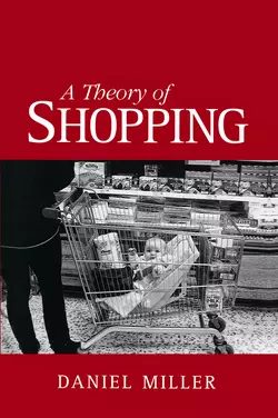 A Theory of Shopping, Daniel Miller