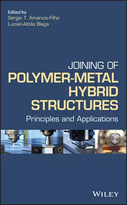 Joining of Polymer-Metal Hybrid Structures, Lucian-Attila Blaga