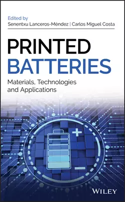 Printed Batteries, Senentxu Lanceros-Méndez