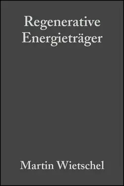 Regenerative Energieträger, Martin Wietschel