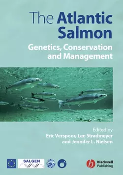 The Atlantic Salmon, Eric Verspoor