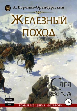 Железный поход. Том третий. След барса, Андрей Воронов-Оренбургский