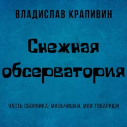 Снежная обсерватория, Владислав Крапивин