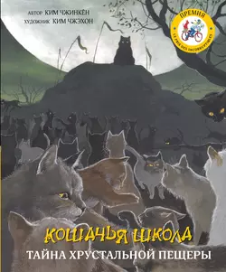 Кошачья школа. Тайна хрустальной пещеры, Ким Чжинкён