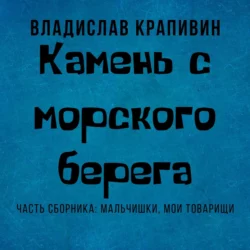 Камень с морского берега, Владислав Крапивин